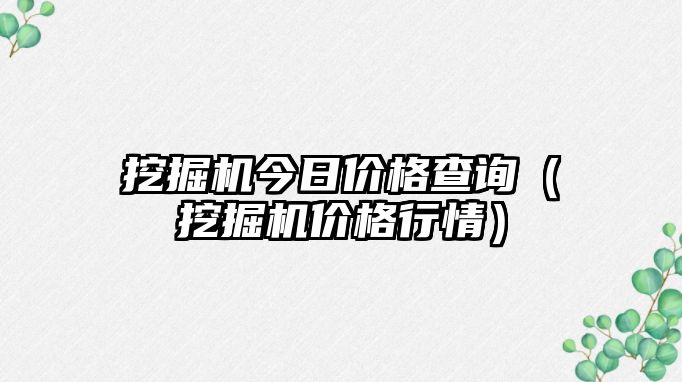 挖掘機(jī)今日價(jià)格查詢（挖掘機(jī)價(jià)格行情）