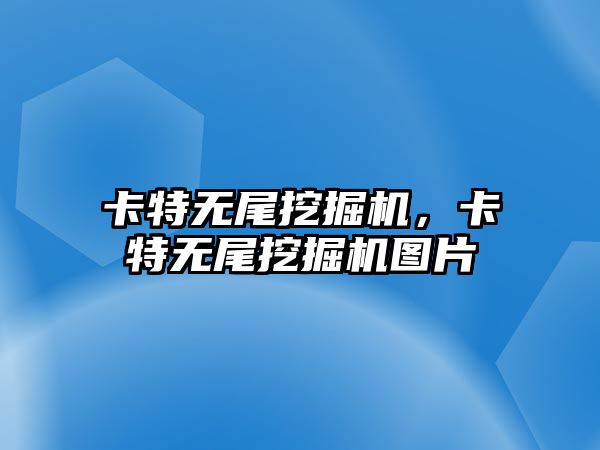 卡特?zé)o尾挖掘機(jī)，卡特?zé)o尾挖掘機(jī)圖片