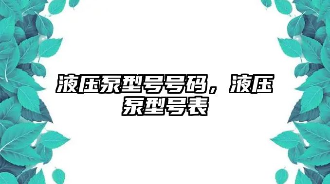 液壓泵型號(hào)號(hào)碼，液壓泵型號(hào)表