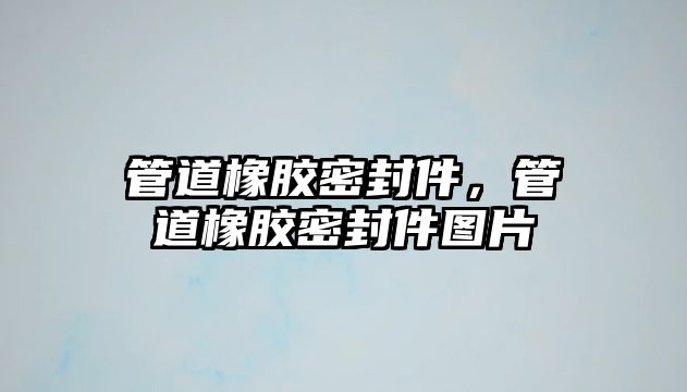 管道橡膠密封件，管道橡膠密封件圖片