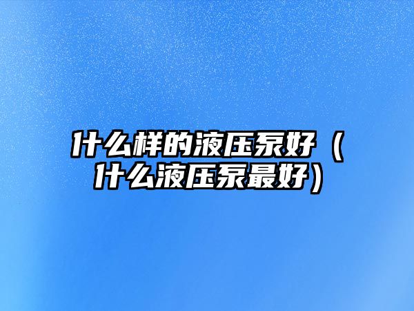 什么樣的液壓泵好（什么液壓泵最好）