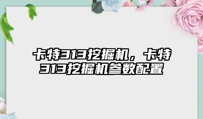 卡特313挖掘機，卡特313挖掘機參數(shù)配置