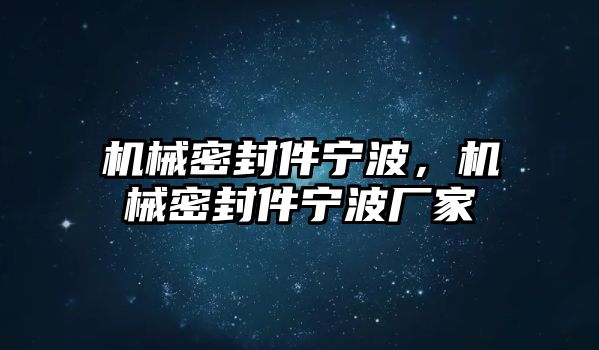 機(jī)械密封件寧波，機(jī)械密封件寧波廠家