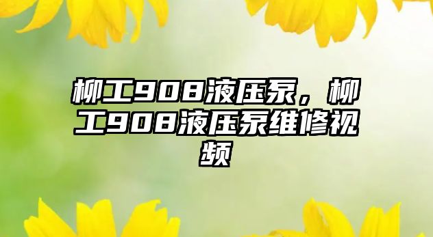 柳工908液壓泵，柳工908液壓泵維修視頻