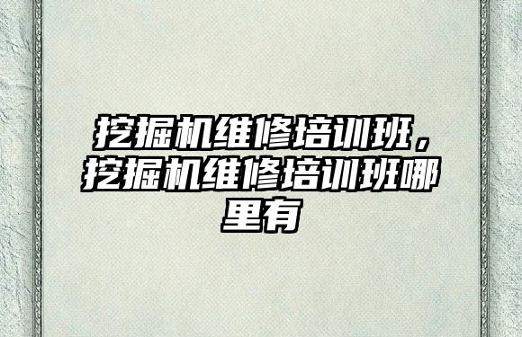 挖掘機維修培訓班，挖掘機維修培訓班哪里有