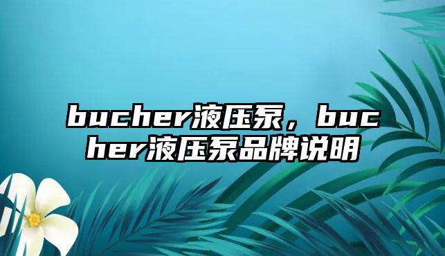 bucher液壓泵，bucher液壓泵品牌說(shuō)明