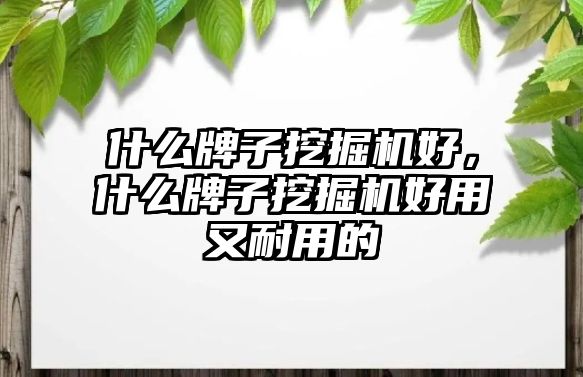 什么牌子挖掘機好，什么牌子挖掘機好用又耐用的