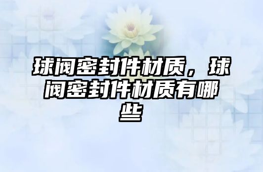 球閥密封件材質(zhì)，球閥密封件材質(zhì)有哪些