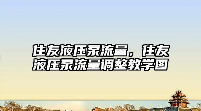 住友液壓泵流量，住友液壓泵流量調(diào)整教學(xué)圖