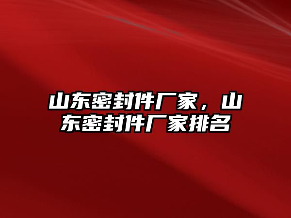 山東密封件廠家，山東密封件廠家排名