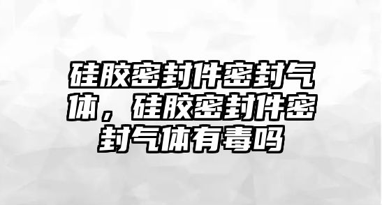 硅膠密封件密封氣體，硅膠密封件密封氣體有毒嗎