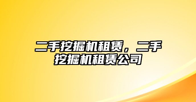 二手挖掘機(jī)租賃，二手挖掘機(jī)租賃公司