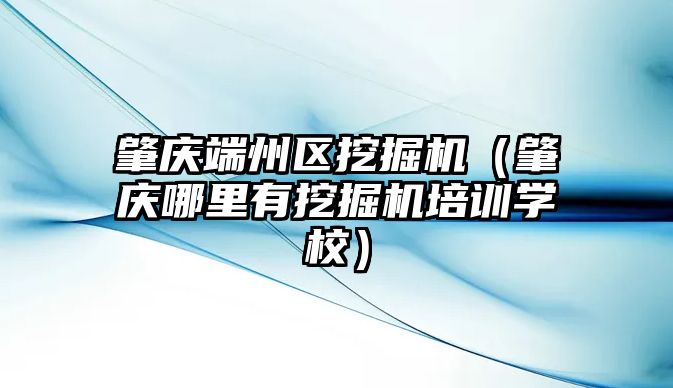 肇慶端州區(qū)挖掘機（肇慶哪里有挖掘機培訓學校）