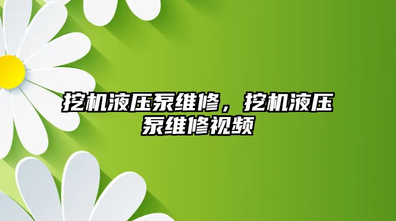 挖機液壓泵維修，挖機液壓泵維修視頻