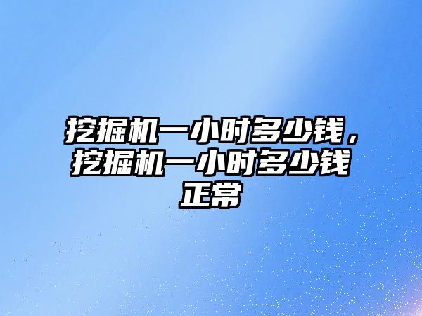 挖掘機一小時多少錢，挖掘機一小時多少錢正常