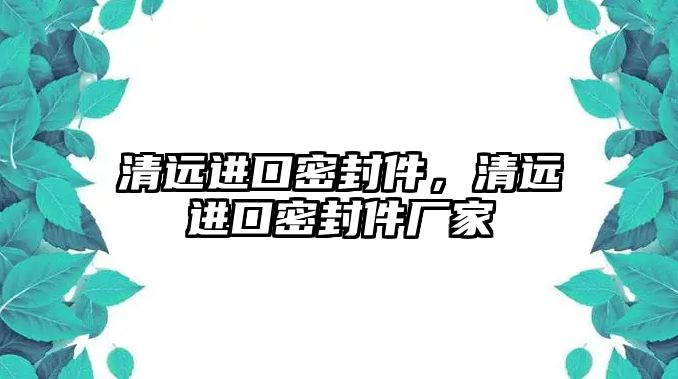 清遠進口密封件，清遠進口密封件廠家