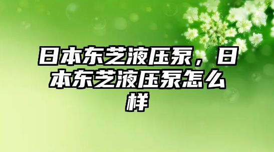 日本東芝液壓泵，日本東芝液壓泵怎么樣