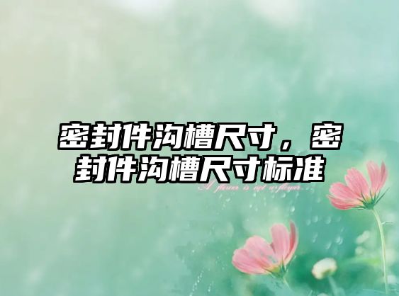 密封件溝槽尺寸，密封件溝槽尺寸標(biāo)準(zhǔn)