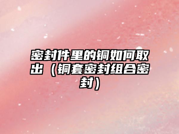 密封件里的銅如何取出（銅套密封組合密封）