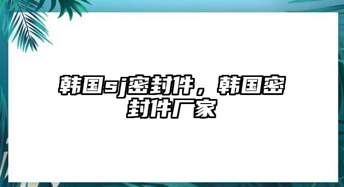 韓國(guó)sj密封件，韓國(guó)密封件廠家