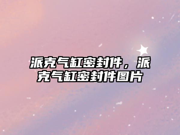 派克氣缸密封件，派克氣缸密封件圖片