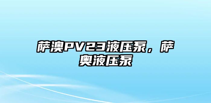 薩澳PV23液壓泵，薩奧液壓泵