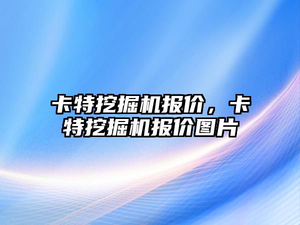 卡特挖掘機報價，卡特挖掘機報價圖片