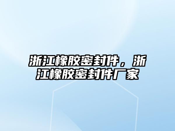 浙江橡膠密封件，浙江橡膠密封件廠家