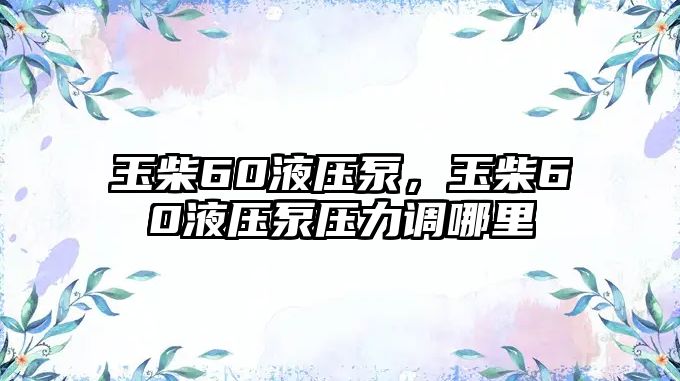 玉柴60液壓泵，玉柴60液壓泵壓力調(diào)哪里