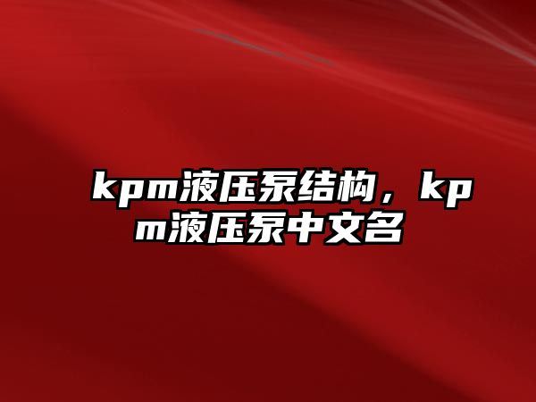 kpm液壓泵結(jié)構(gòu)，kpm液壓泵中文名