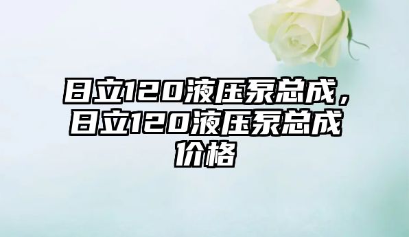 日立120液壓泵總成，日立120液壓泵總成價(jià)格