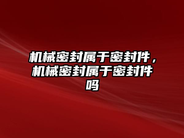 機(jī)械密封屬于密封件，機(jī)械密封屬于密封件嗎