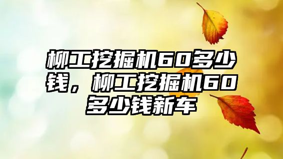 柳工挖掘機60多少錢，柳工挖掘機60多少錢新車