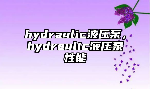 hydraulic液壓泵，hydraulic液壓泵性能