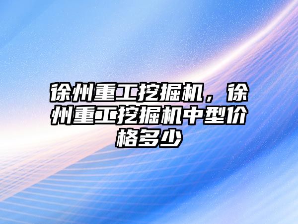 徐州重工挖掘機，徐州重工挖掘機中型價格多少