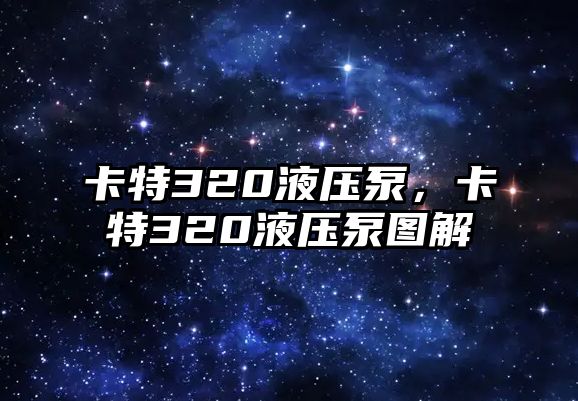 卡特320液壓泵，卡特320液壓泵圖解