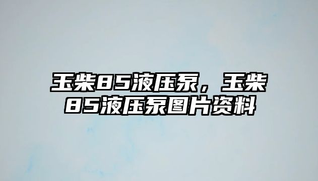 玉柴85液壓泵，玉柴85液壓泵圖片資料