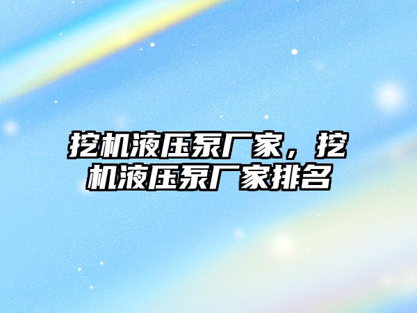 挖機液壓泵廠家，挖機液壓泵廠家排名