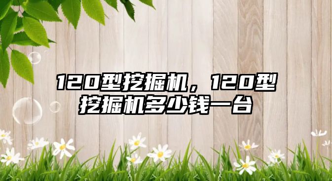 120型挖掘機，120型挖掘機多少錢一臺