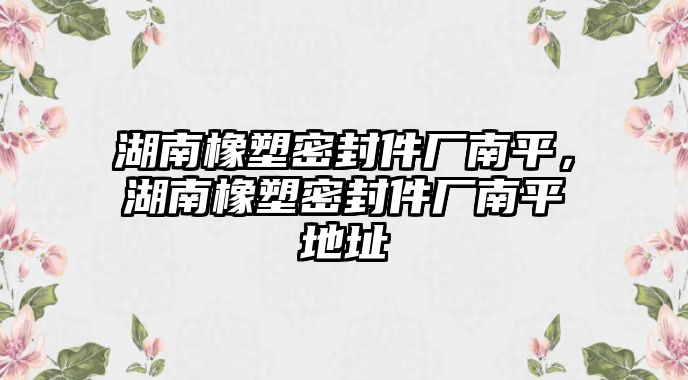 湖南橡塑密封件廠南平，湖南橡塑密封件廠南平地址