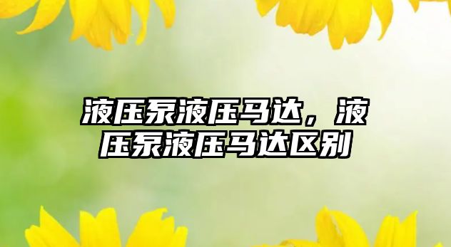 液壓泵液壓馬達(dá)，液壓泵液壓馬達(dá)區(qū)別