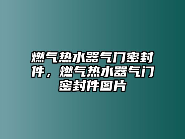 燃氣熱水器氣門密封件，燃氣熱水器氣門密封件圖片