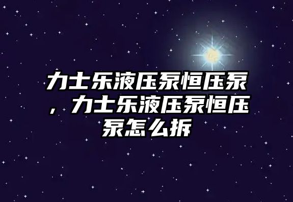 力士樂(lè)液壓泵恒壓泵，力士樂(lè)液壓泵恒壓泵怎么拆