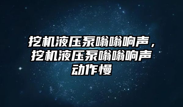 挖機液壓泵嗡嗡響聲，挖機液壓泵嗡嗡響聲動作慢