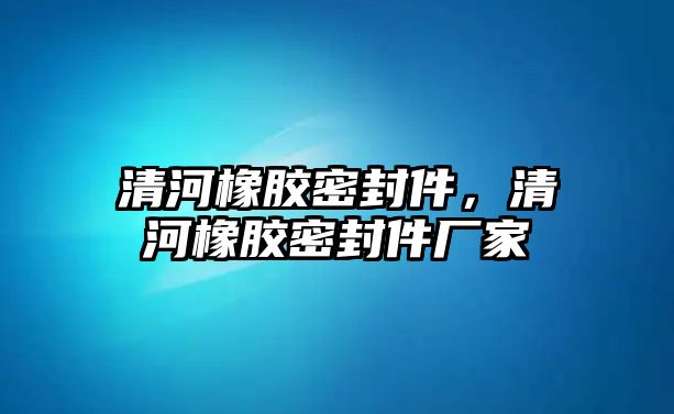 清河橡膠密封件，清河橡膠密封件廠家