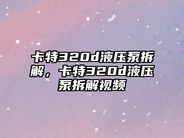 卡特320d液壓泵拆解，卡特320d液壓泵拆解視頻