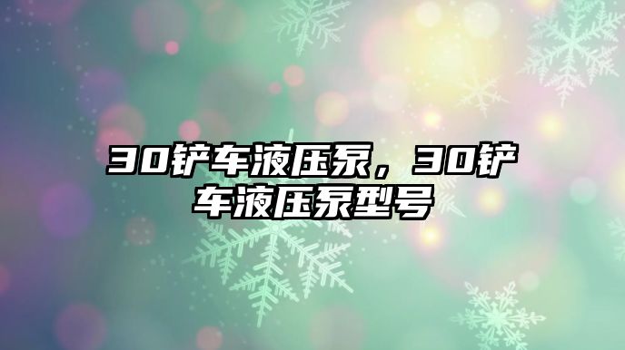 30鏟車液壓泵，30鏟車液壓泵型號