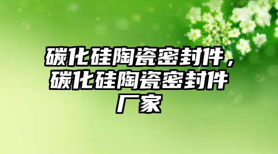 碳化硅陶瓷密封件，碳化硅陶瓷密封件廠家