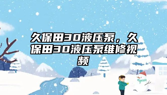 久保田30液壓泵，久保田30液壓泵維修視頻