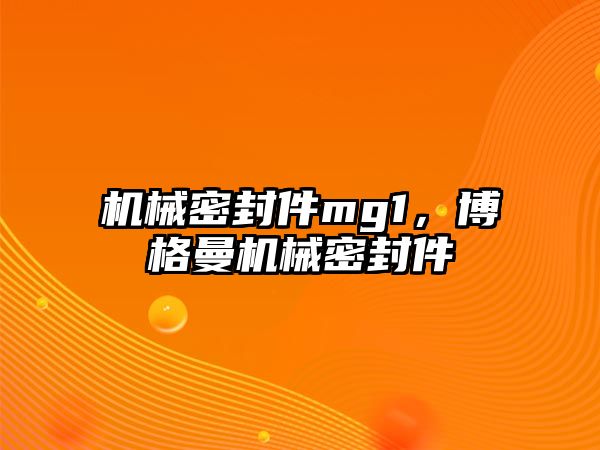 機械密封件mg1，博格曼機械密封件